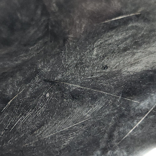 Baetis CDC - 1 Gram Croupion de Canard Pack - Dark Dun - Troutlore Fly Tying Shop Australia