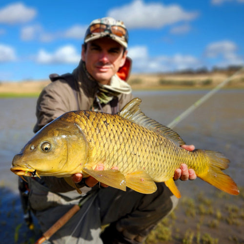 FLY FISHING GUIDE FISHING FOR CARP IN VICTORIA WITH TROUTLORE