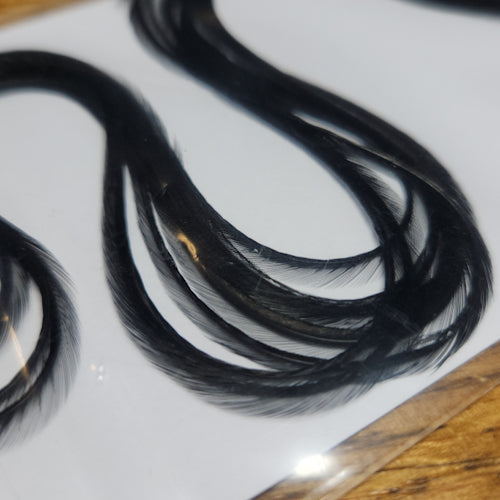 Troutlore Dry Fly Hackle Half Pack – Dyed Black - Troutlore Fly Tying Feathers Australia