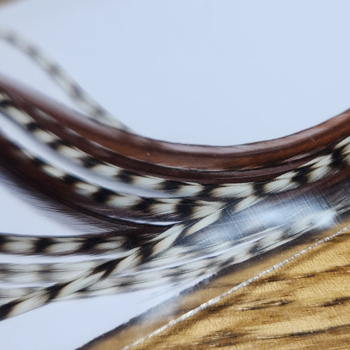 Troutlore Dry Fly Hackle Pack – Adams