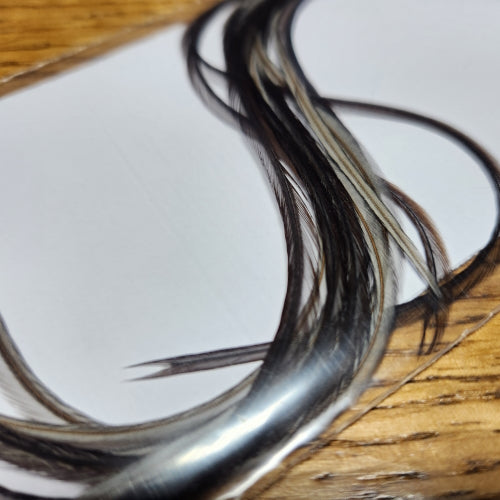 Troutlore Dry Fly Hackle Pack – Dark Brown Dun