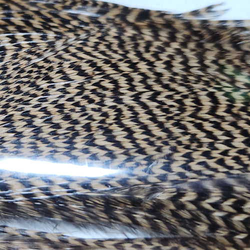Hareline Half Cape - Grizzly Tan - Troutlore Fly Tying Feathers Australia