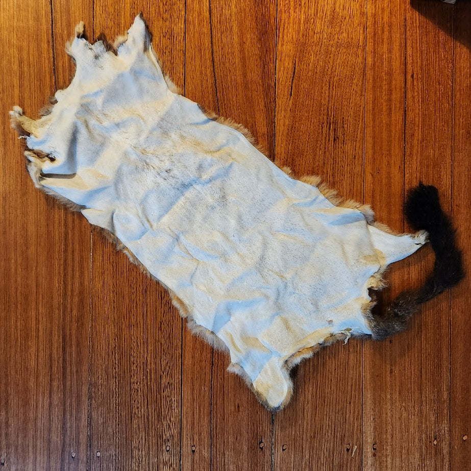 New Zealand Possum Hide #361 - Troutlore Fly Tying Store Australia