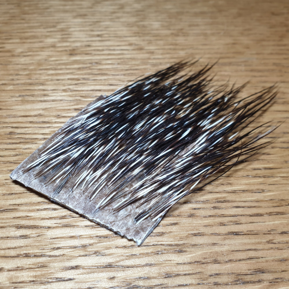 Peccary Flank Hair Limited availability Troutlore Fly Tying