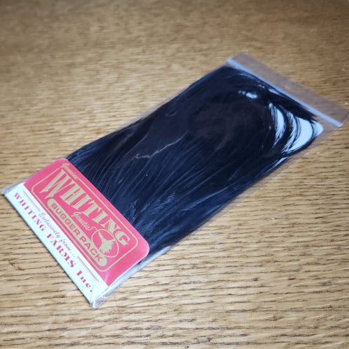 Whiting Bugger Pack - Black - Troutlore Fly Tying Feathers Australia