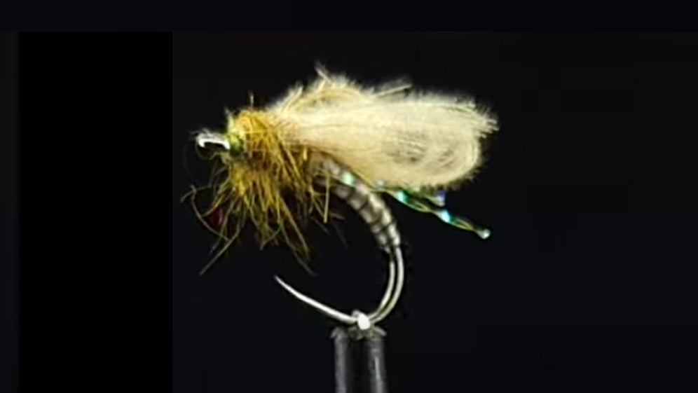 CDC BUBBLE WINGCADDIS TIED BY ROB GEE OF TROUTLORE FLY TYING STORE AUSTRALIA