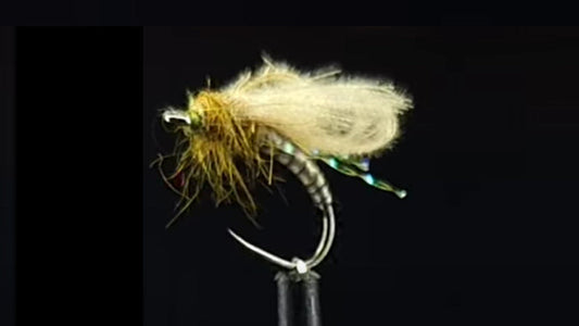 CDC BUBBLE WINGCADDIS TIED BY ROB GEE OF TROUTLORE FLY TYING STORE AUSTRALIA