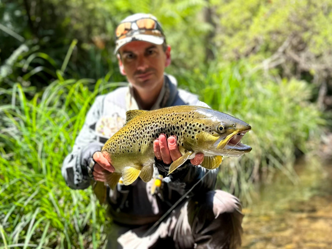 Trout Season 26/27 Preview