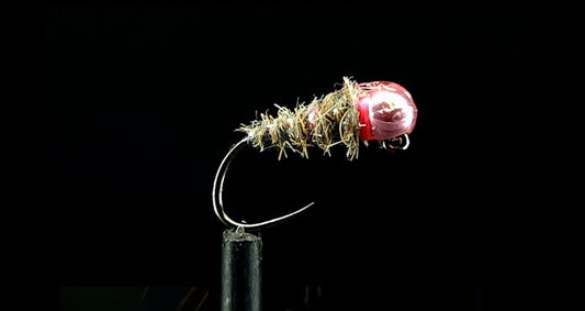 SEXY WALT's JIG NYMPH FLY PATTERN TIED BY ROB GEE OF TROUTLORE FLY TYING STORE AUSTRALIA
