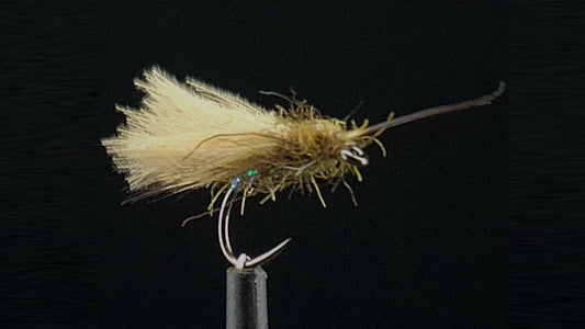 PDC Caddis Dry Fly Tied By Rob Gee from Troutlore Fly Tying Store Australia