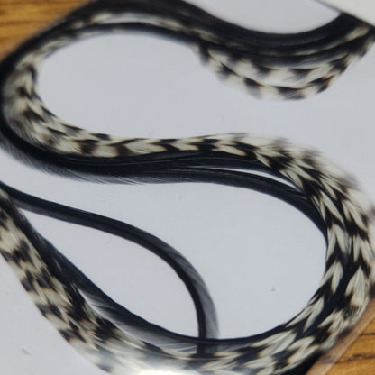 Troutlore Dry Fly Hackle Half Pack – Ant Combo - Troutlore Fly Tying Store Australia