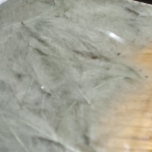 Baetis CDC - 1 Gram Croupion de Canard Pack - Olive Blue Dun - Troutlore Fly Tying Supplies Australia