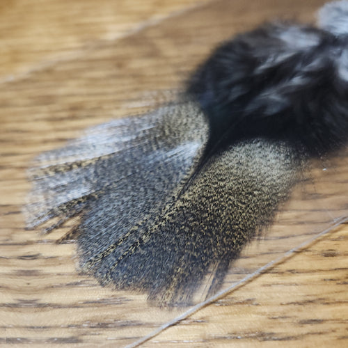 Baetis CDL Mazo Pluma G-1 Pardo Coq De Leon - Deer Brown Corzuno - Troutlore Fly Tying Store Australia