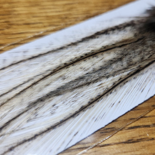 Coq De Leon - Speckled Badger - Troutlore Fly Tying CDL Australia