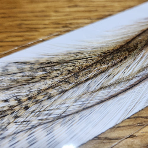 Coq De Leon - Speckled Ginger - Troutlore Fly Tying CDL Australia