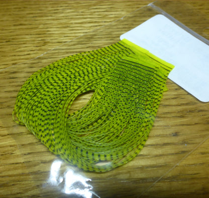 Grizzly Flutter Legs Black Barred Hot Yellow - Troutlore Fly Tying Store Australia