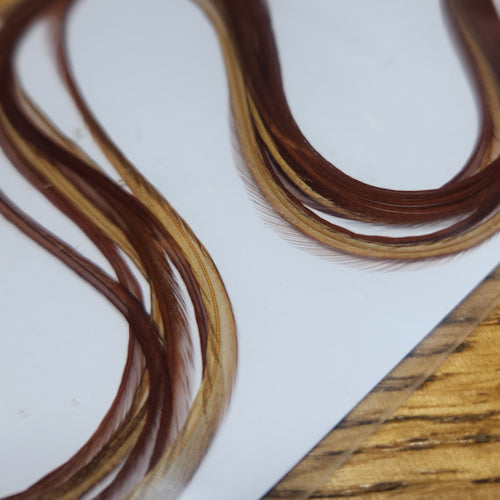 Troutlore Dry Fly Hackle Half Pack – Medium Brown - Troutlore Fly Tying Feathers Australia