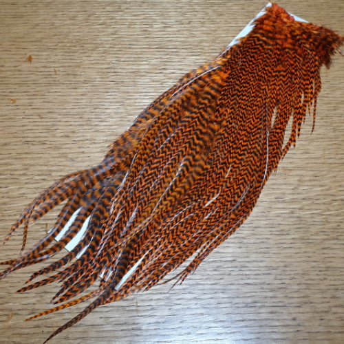 Hareline Grizzly Half Saddle – Orange - Troutlore Fly Tying Hackle Feathers Australia