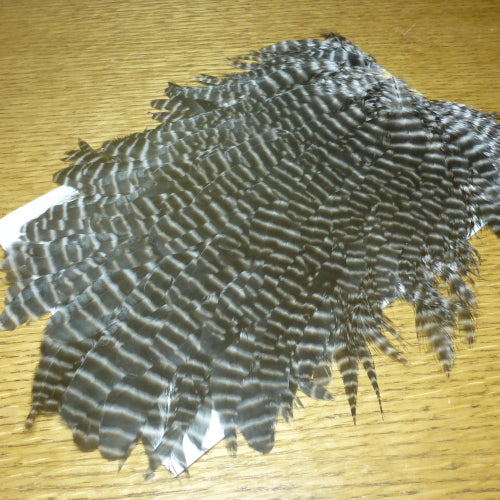 Hareline Hen Saddle - Grizzly Natural - Troutlore Fly Tying Shop Australia