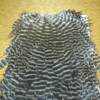 Hareline Hen Saddle - Grizzly Natural - Troutlore Fly Tying Shop Australia