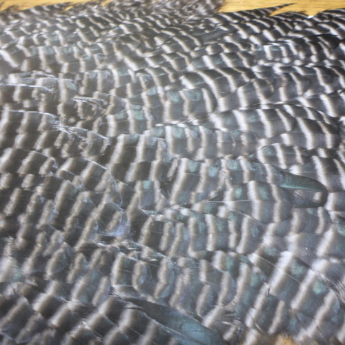 Hareline Hen Saddle - Grizzly Natural - Troutlore Fly Tying Shop Australia