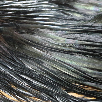 Hareline Dyed Over White Saddle – Black