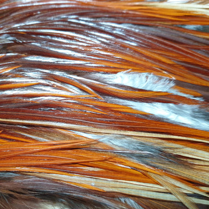Hareline Dyed Over White Saddle - Brown - Troutlore Fly Tying Store Australia