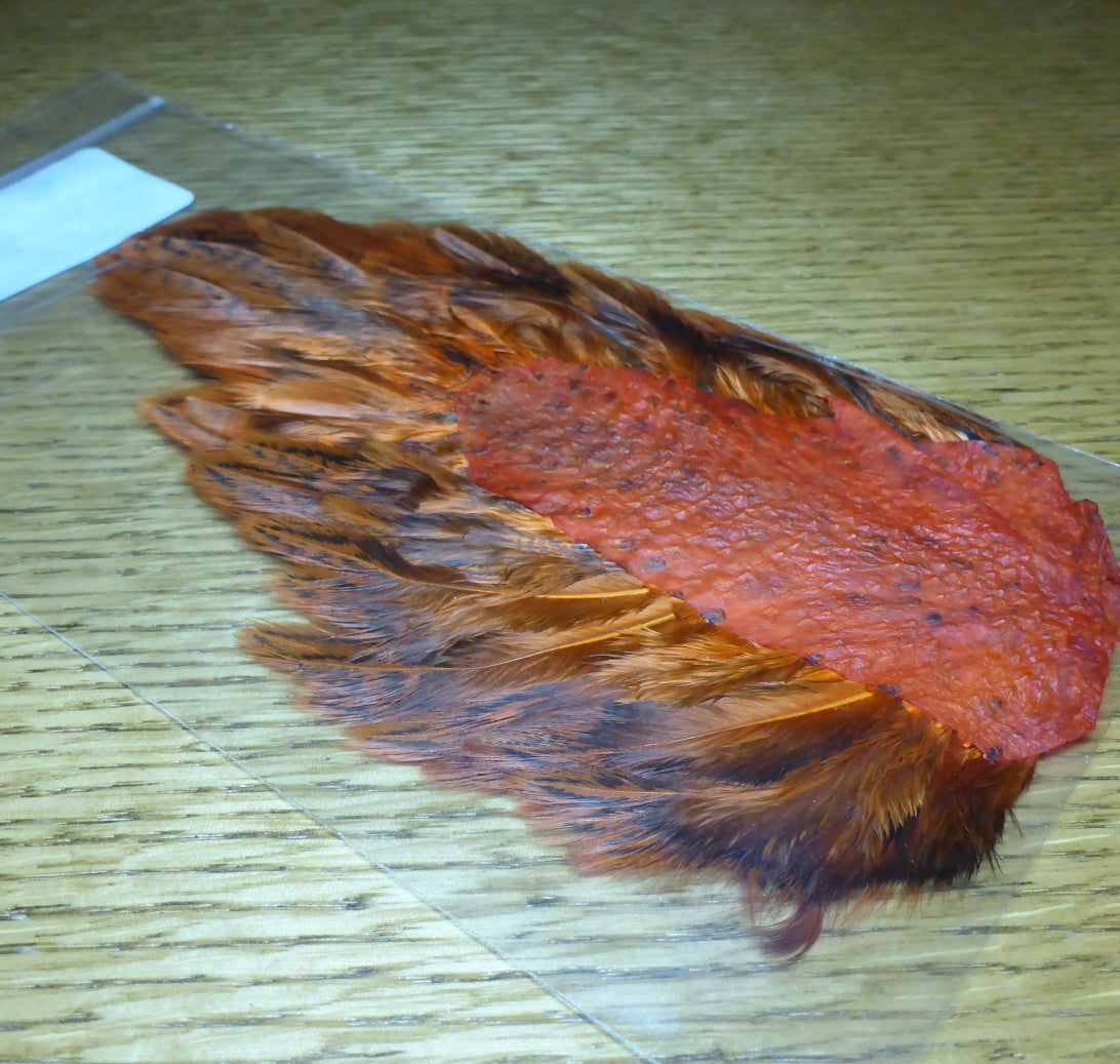 Hareline India Hen Back - Crawfish Orange - Troutlore Fly Tying Soft Hackle Australia