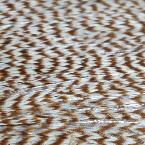 Keough Tyers Grade Cape – Bleached Grizzly AVAILABLE AT TROUTLORE FLY TYING STORE AUSTRALIA