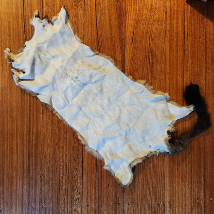 New Zealand Possum Hide #361 - Troutlore Fly Tying Store Australia