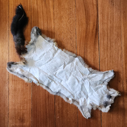 New Zealand Possum Hide #184 - Troutlore Fly Tying Furs Australia