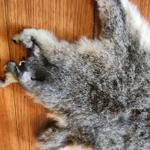 New Zealand Possum Hide #192 - Troutlore Fly Tying Materials Australia