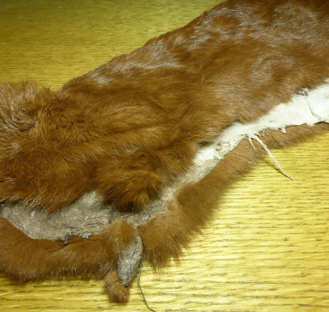 Hare & Rabbit – Troutlore