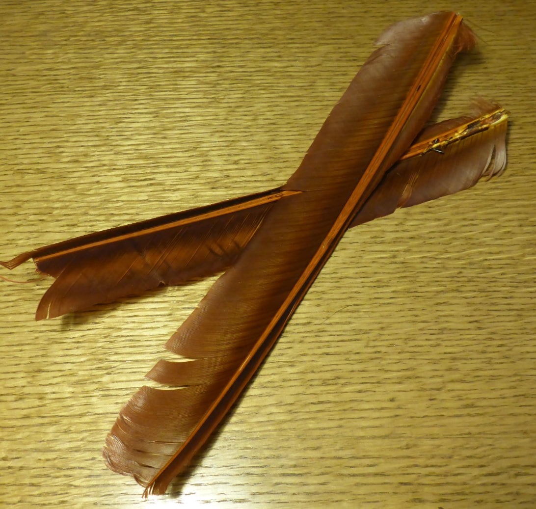 Hareline Turkey Biot Quills Rusty Spinner - Troutlore Fly Tying Shop Australia