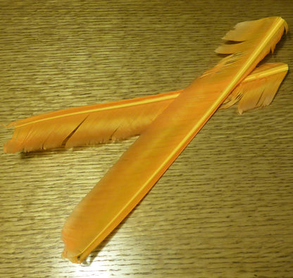 Hareline Turkey Biot Quills Sulphur Orange