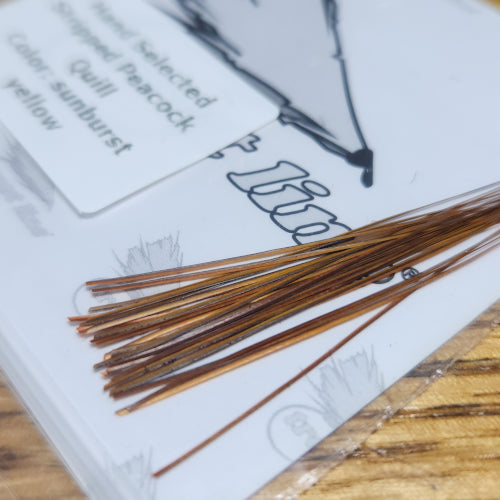 Troutline Stripped Peacock Quills - Sunburst Yellow - Troutlore Fly Tying Store Australia