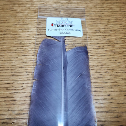Hareline Turkey Biot Quills Gray