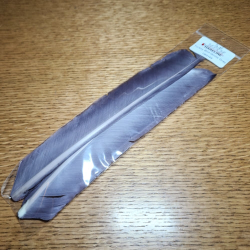 Hareline Turkey Biot Quills Gray - Troutlore Fly Tying Shop Australia