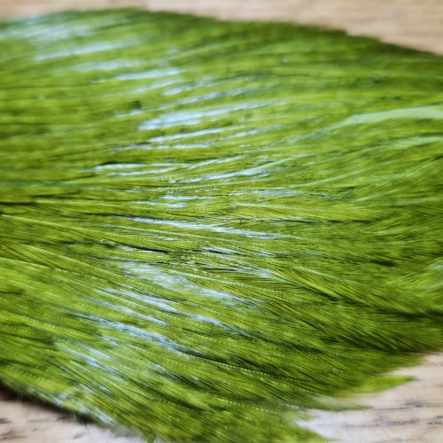 Veniard Premium Cock Neck Medium Olive - Troutlore Fly Tying Shop Australia
