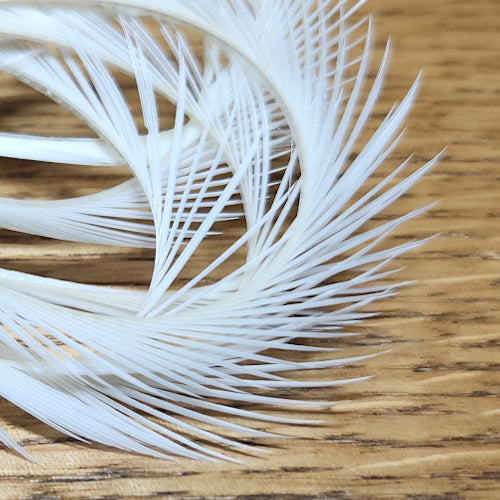 Veniard Goose Biots - White - Troutlore Fly Tying Feathers Australia