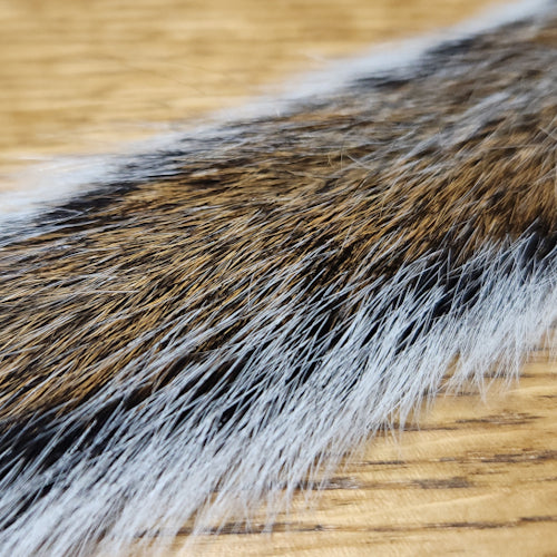 Veniard Grey Squirrel Tail - Troutlore Fly Tying Furs Australia