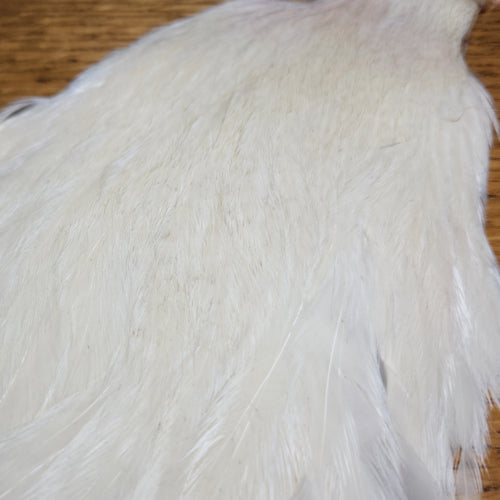 Veniard Genetic Hen Cape – White - Troutlore Fly Tying Feathers Australia