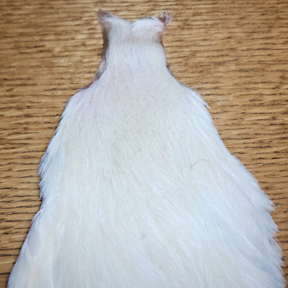 Veniard Genetic Hen Cape – White - Troutlore Fly Tying Feathers Australia