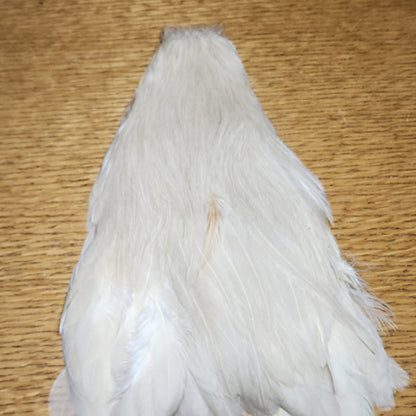 Veniard Genetic Hen Cape – White - Troutlore Fly Tying Feathers Australia