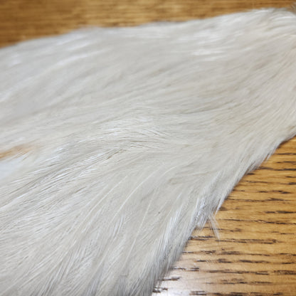 Veniard Genetic Hen Cape – White - Troutlore Fly Tying Feathers Australia
