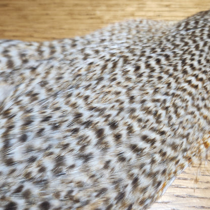 Veniard Genetic Hen Cape – Grizzly - Troutlore Fly Tying Store Australia