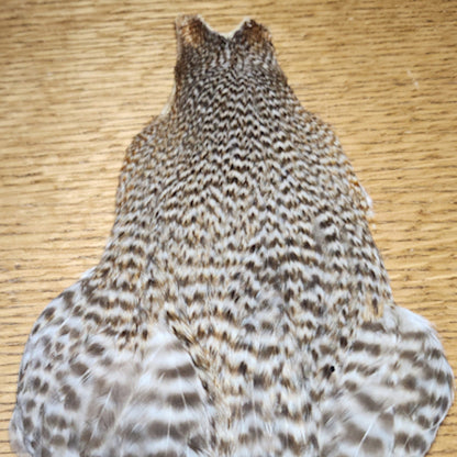 Veniard Genetic Hen Cape – Grizzly/Dun