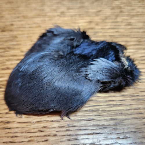 Veniard Jackdaw Scalp Whole Grey - Troutlore Fly Tying Supplies Australia