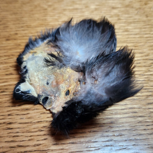 Veniard Jackdaw Scalp Whole Grey - Troutlore Fly Tying Supplies Australia