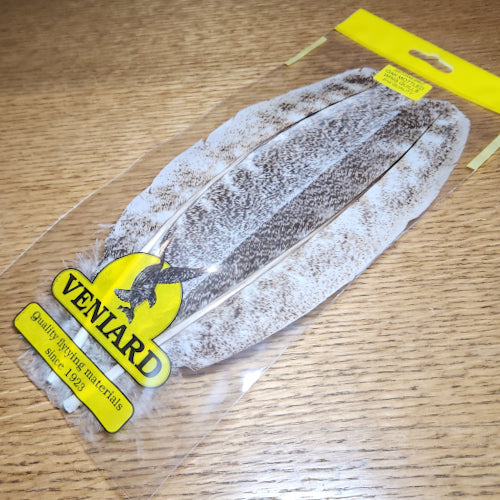 Veniard Oak Mottled Turkey Wing Quill Grade 2 - Troutlore Fly Tying Feathers Australia